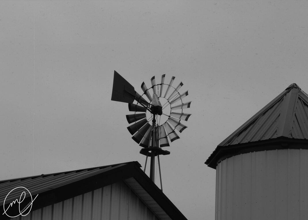 Windpomp, 2017. Nikon Coolpix L820.