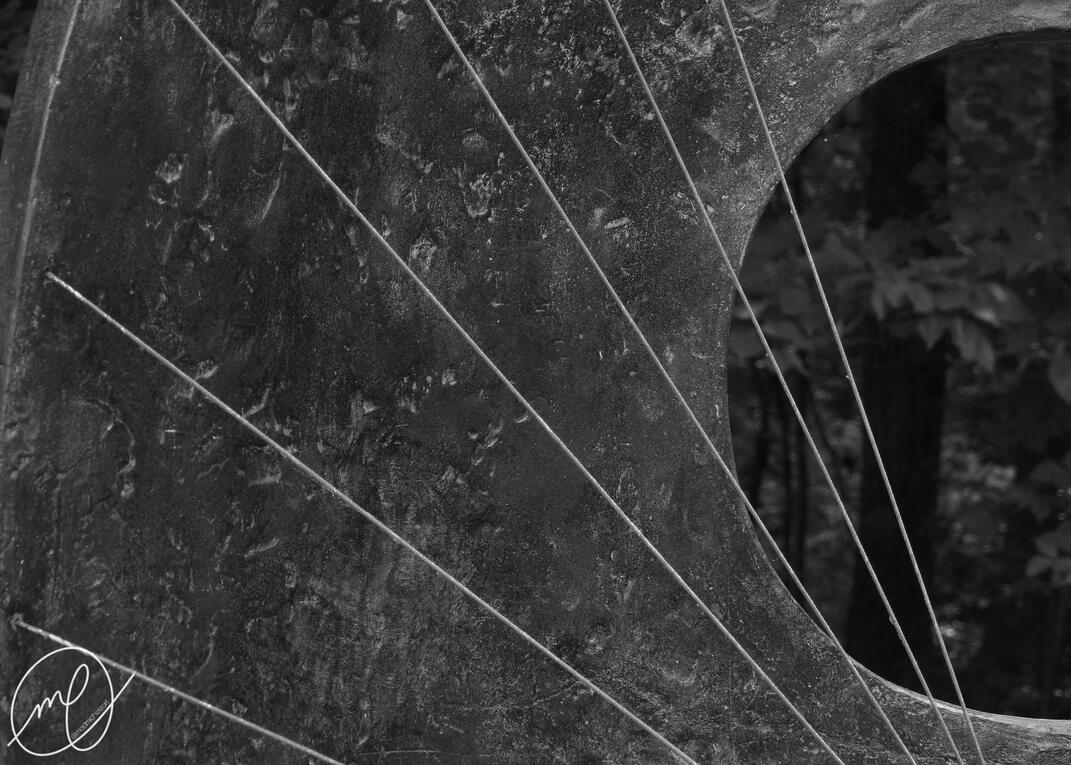 Harpsichord, 2017. Nikon Coolpix L820.