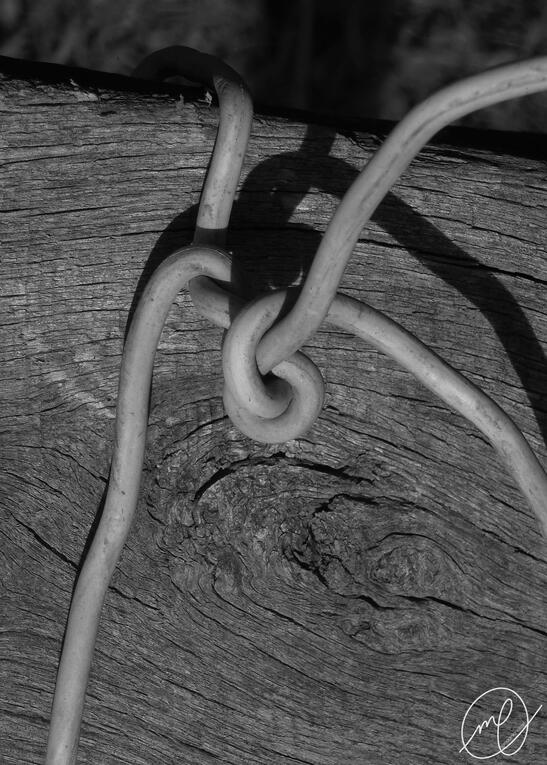 Knotted, 2017. Nikon Coolpix L820.