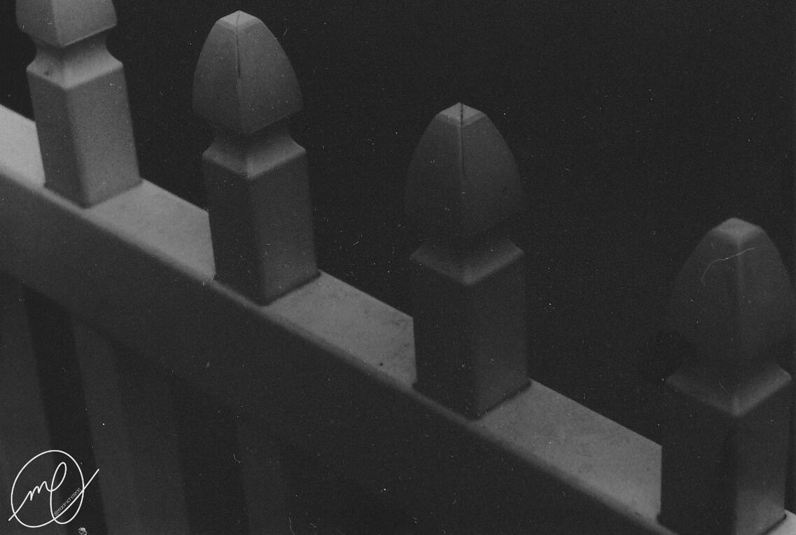 Fenced In, 2016. Minolta Maxxum QTsi, 35mm. (Test Strip)
