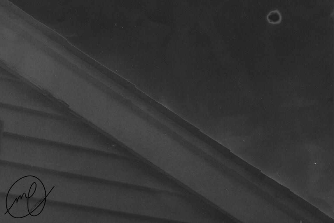 Solar Flare, 2016. Minolta Maxxum QTsi, 35mm. (Solarized)