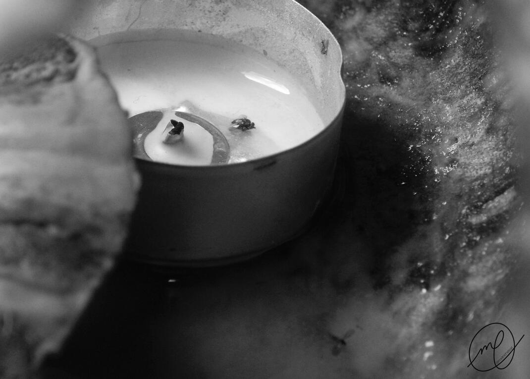 Candelit Gourd, 2014. Nikon Coolpix L820.