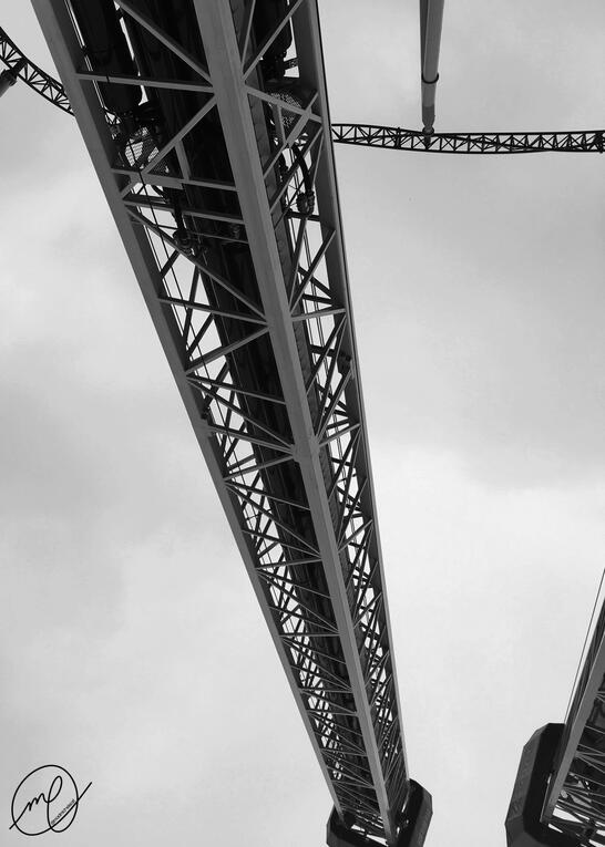 Ascending, 2016. Nikon Coolpix L820.