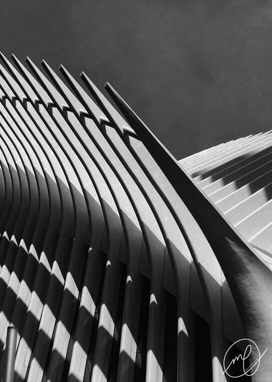 Oculus, 2019. New York City, New York. iPhone X.