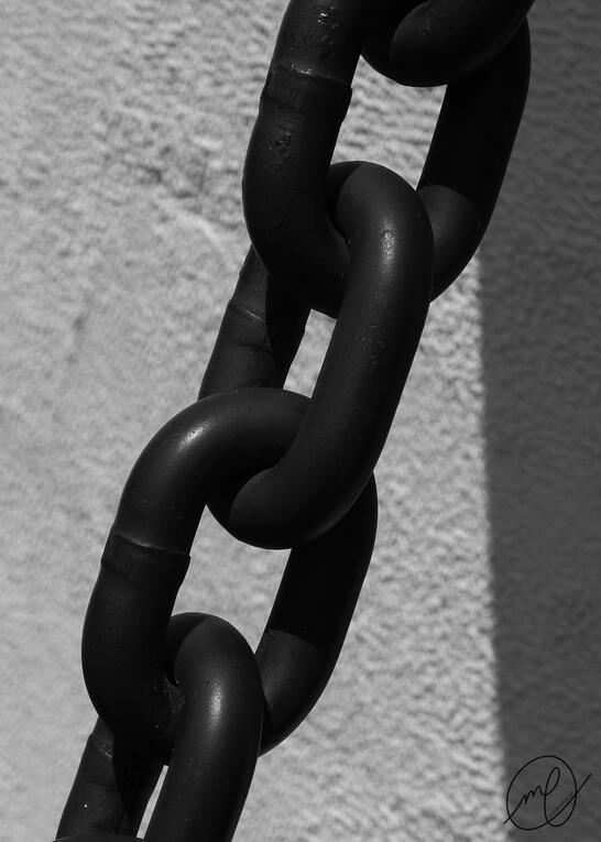 Tethered, 2017. Nikon Coolpix L820.