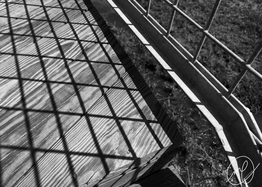 Shadows of Anew, 2023. Assateague Island, Maryland. iPhone X.