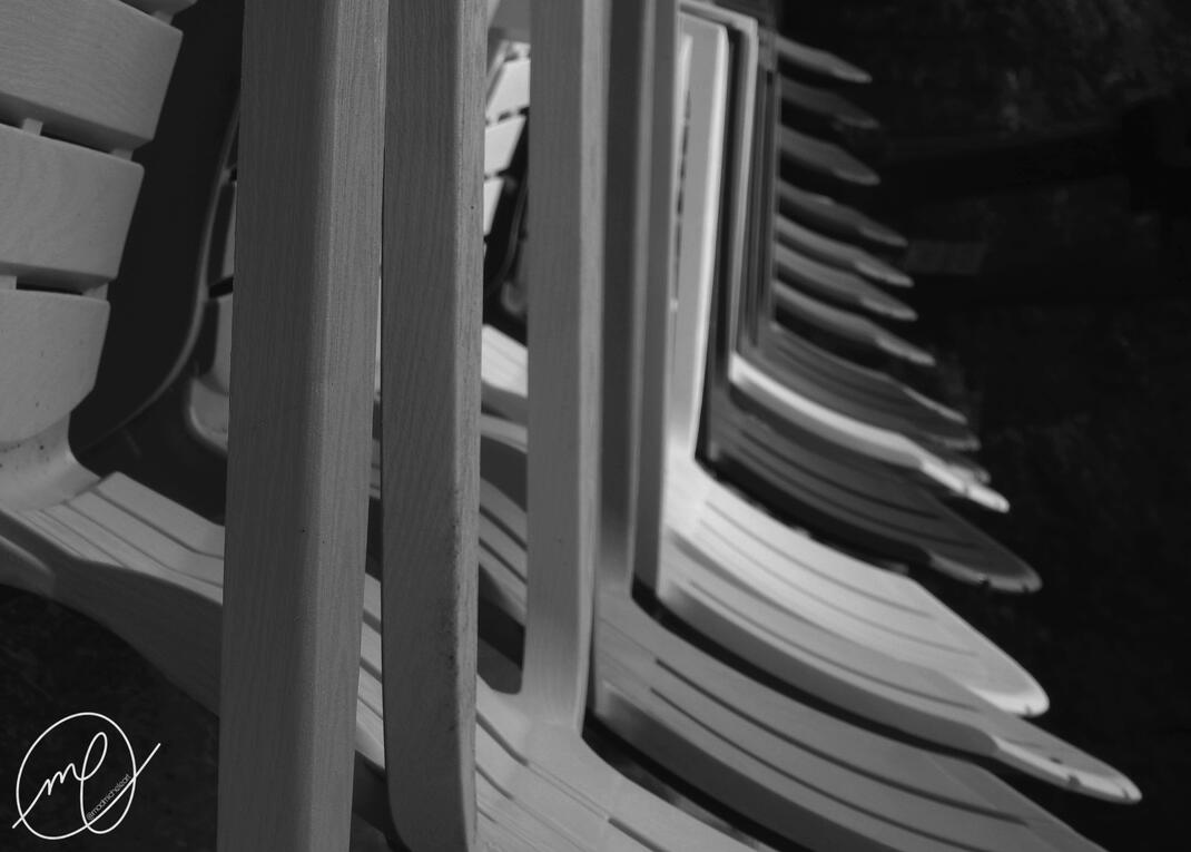 Succession, 2017. Nikon Coolpix L820.