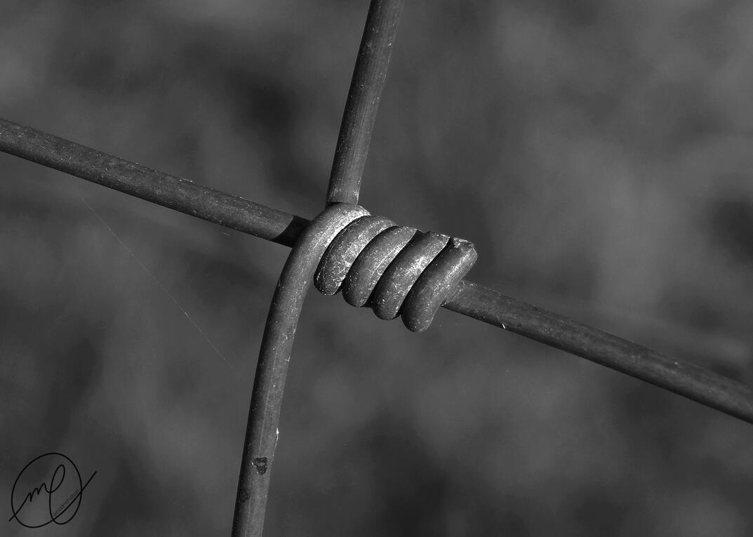 Coiled, 2017. Nikon Coolpix L820.