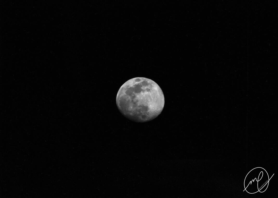 Under the Blue Moon, 2023. Canon EOS Rebel T5.