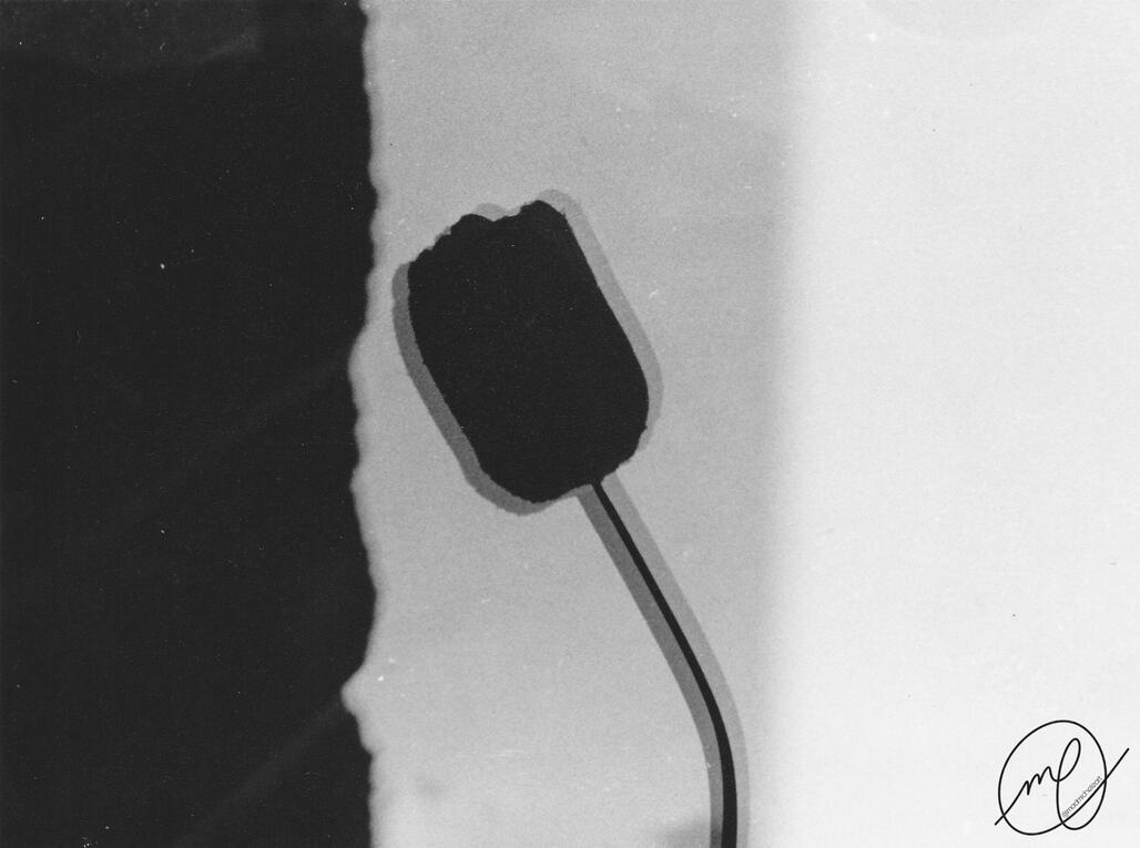 Unrequited, 2014. Minolta Maxxum QTsi, 35mm.